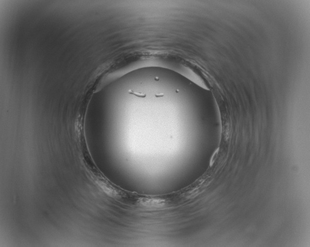X0000073400476200608111304