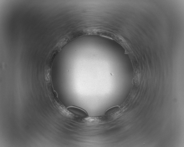 X0000073400477200608111304