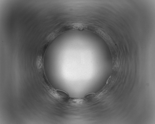 X0000073400478200608111304