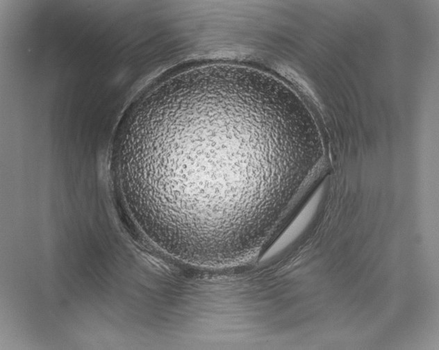 X0000073400483200608111303