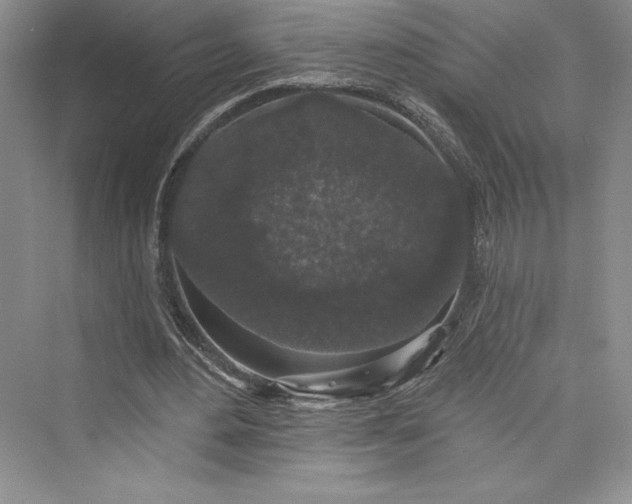 X0000073400484200608111303