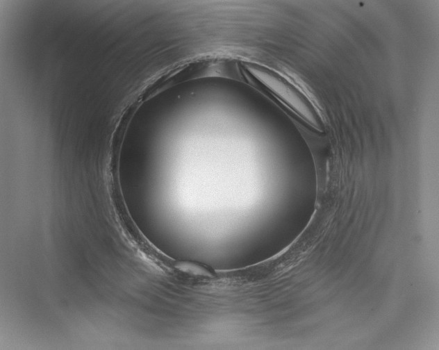 X0000073400485200608111303