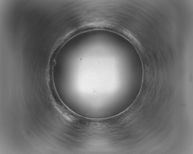 X0000073400486200608111303