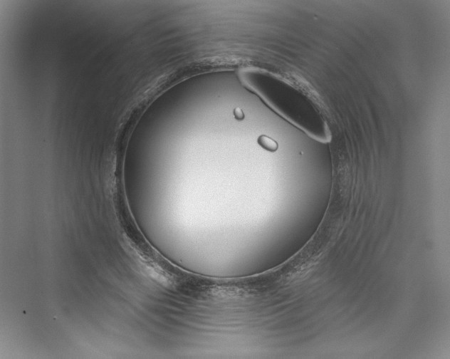 X0000073400490200608111303