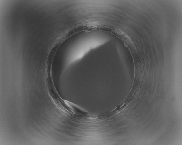 X0000073400496200608111303