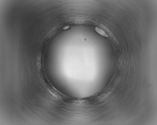X0000073400497200608111303