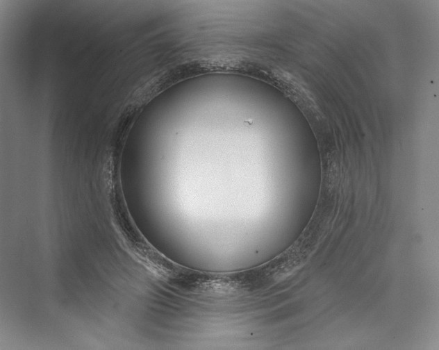 X0000073400498200608111303