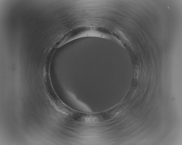 X0000073400500200608111302