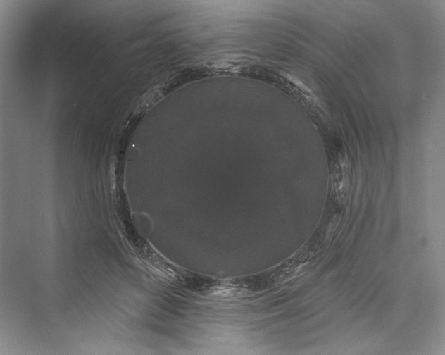 X0000073400504200608111302