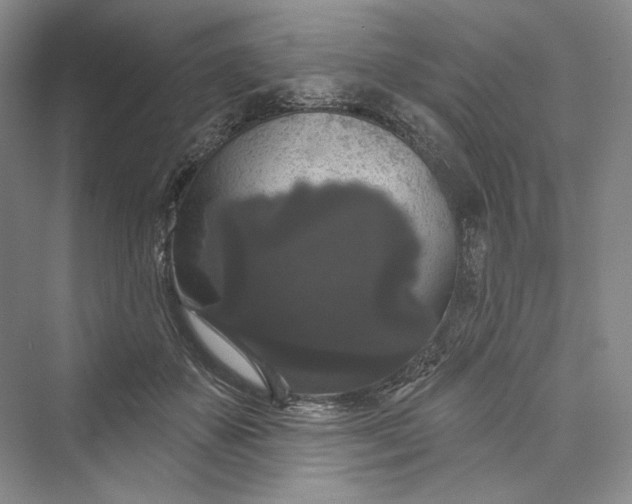 X0000073400507200608111302