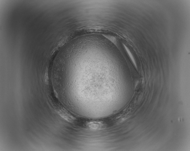 X0000073400508200608111302