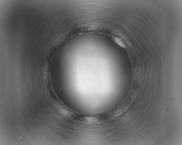 X0000073400509200608111302