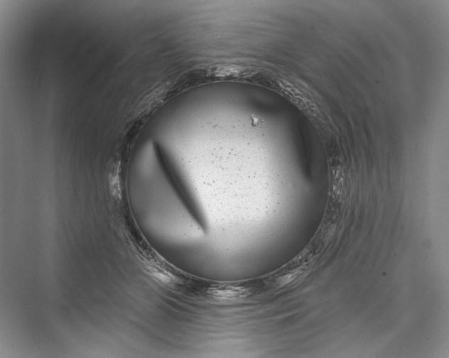 X0000073400510200608111302