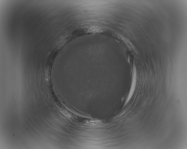 X0000073400517200608111302