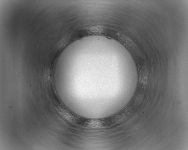 X0000073400518200608111302