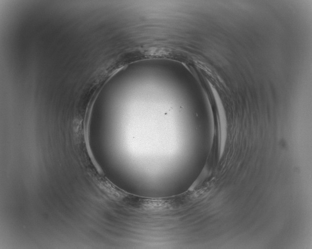 X0000073400521200608111302