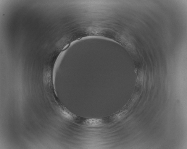 X0000073400526200608111302