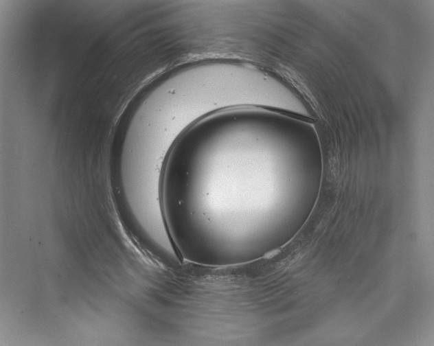 X0000073400534200608111301