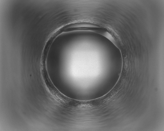X0000073400536200608111301