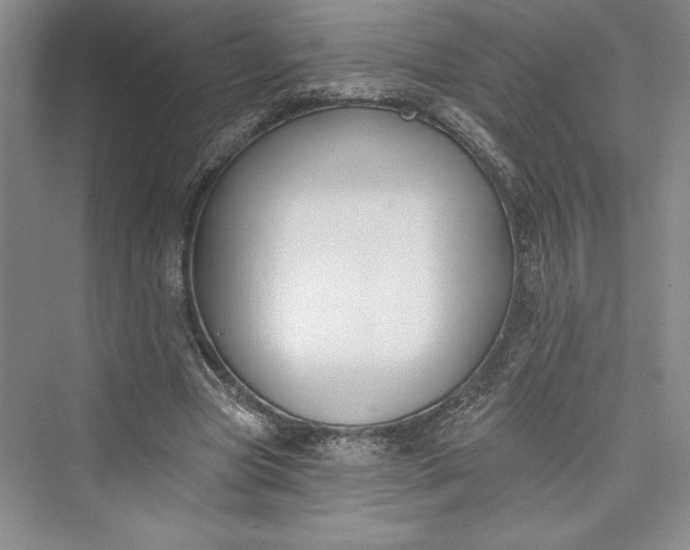 X0000073400537200608111301