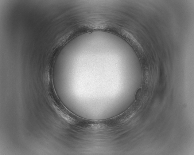 X0000073400541200608111301