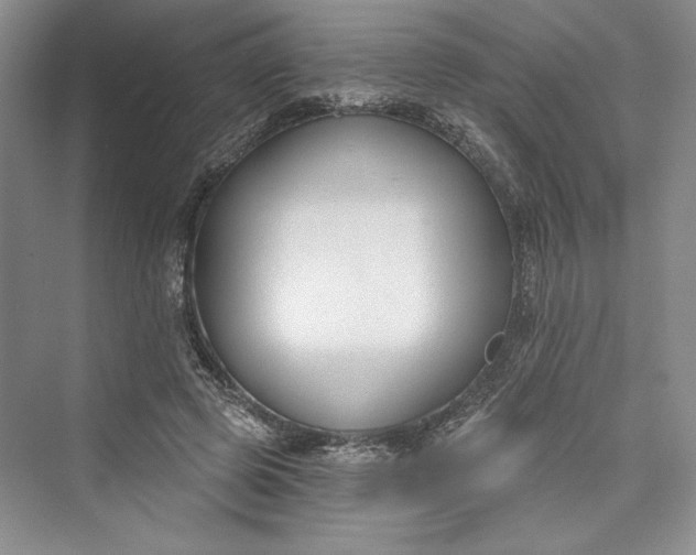 X0000073400545200608111301