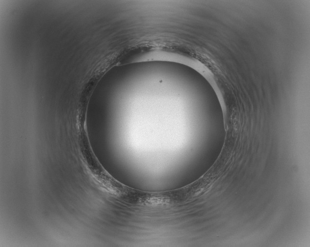 X0000073400546200608111301