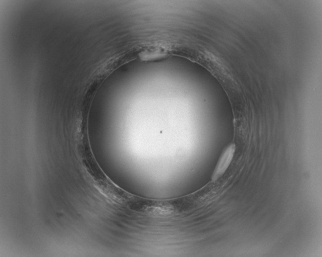X0000073400548200608111302