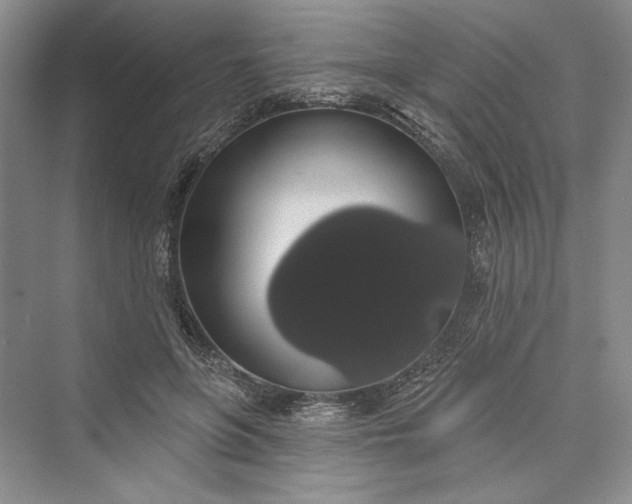 X0000073400551200608111302
