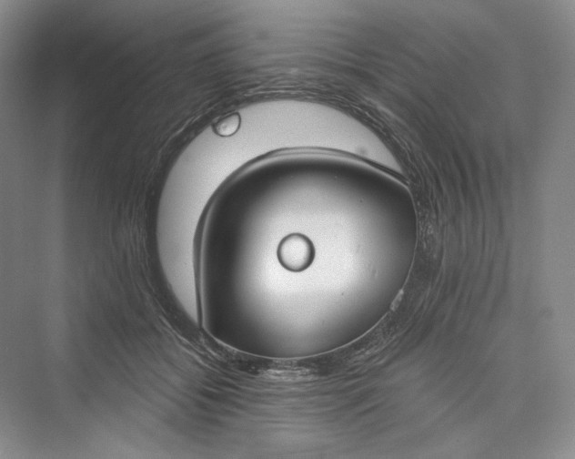 X0000073400556200608111302