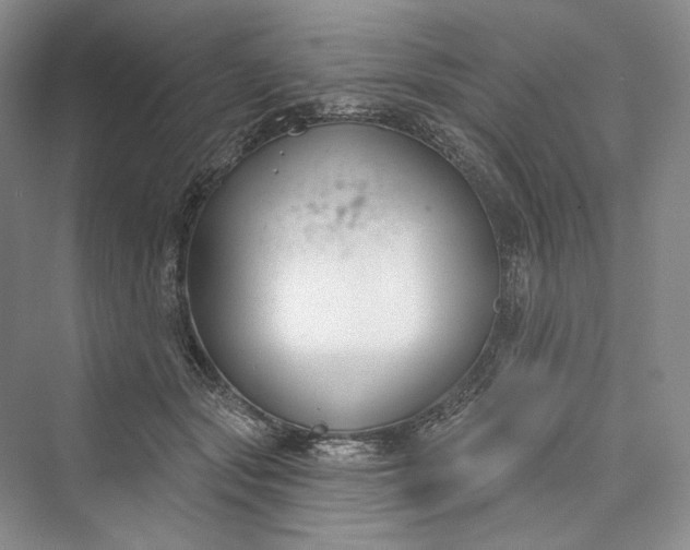 X0000073400557200608111302