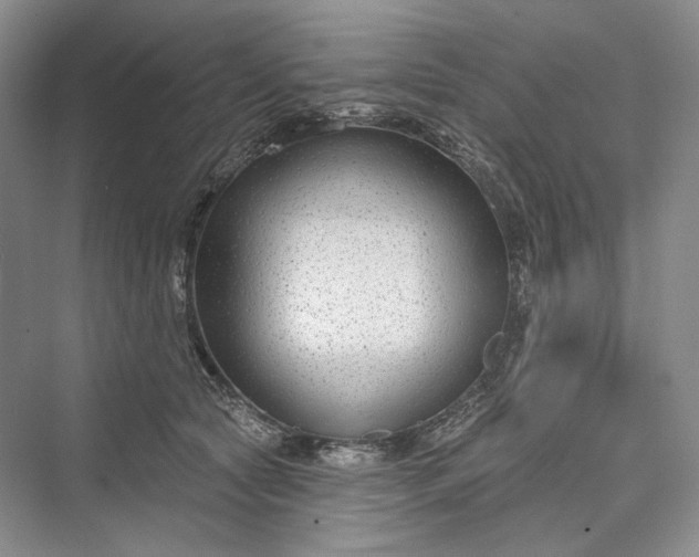 X0000073400561200608111302