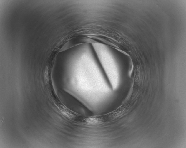 X0000073400562200608111302