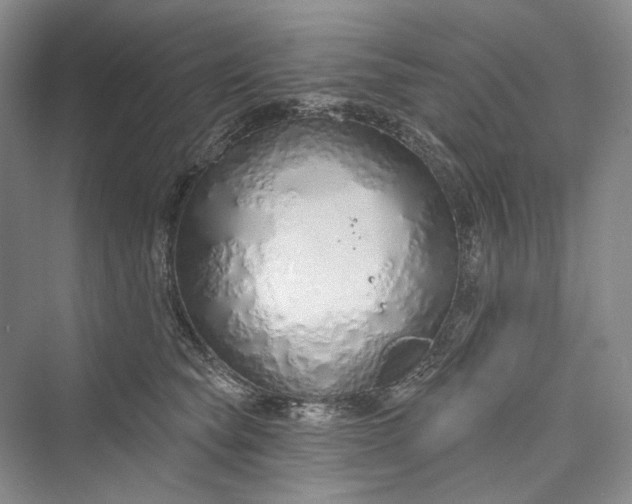 X0000073400565200608111302