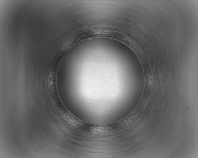 X0000073400567200608111302