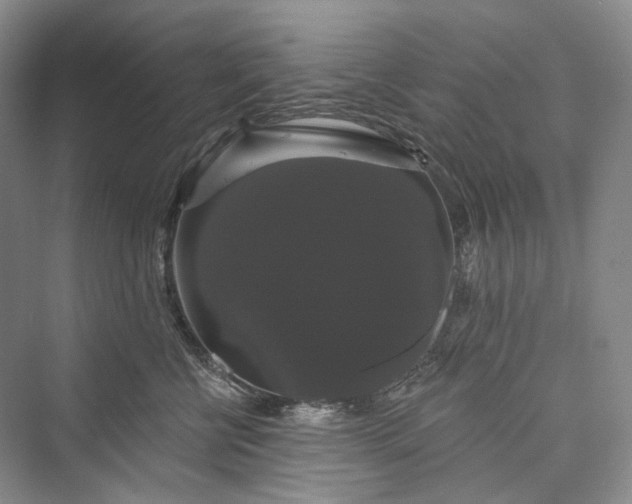 X0000073400570200608111302