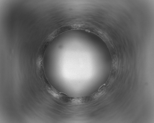 X0000073400574200608111302