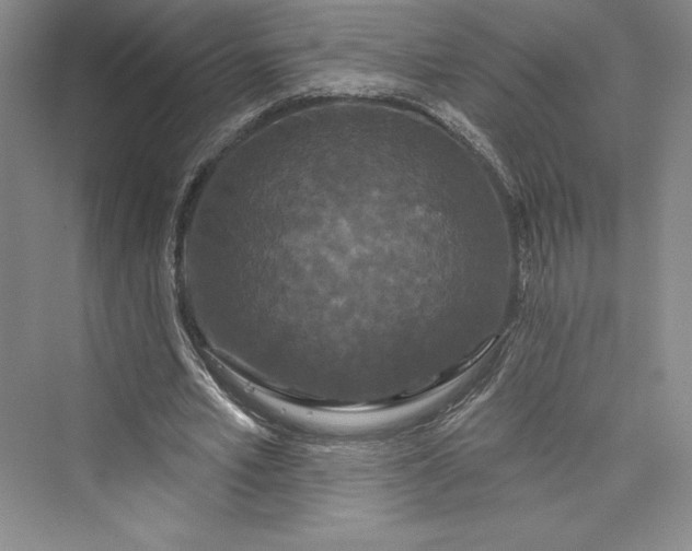 X0000073400581200608111301