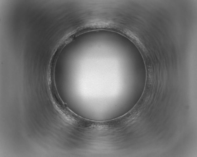 X0000073400582200608111301
