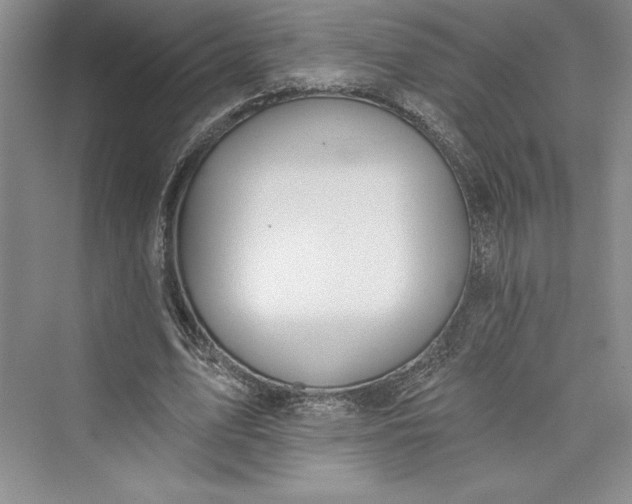 X0000073400583200608111301