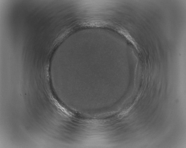 X0000073400585200608111301