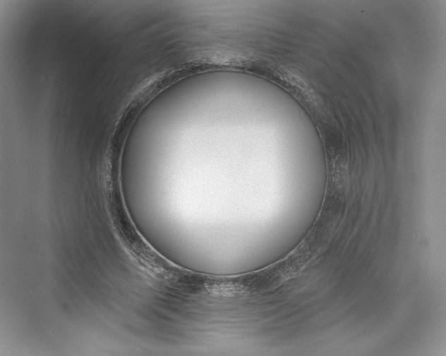 X0000073400587200608111301