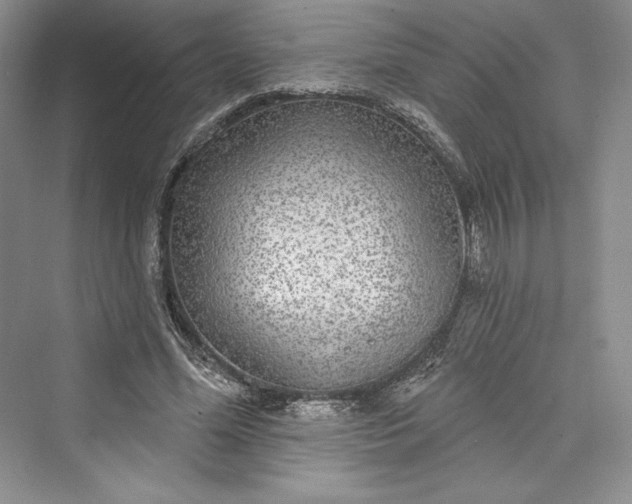 X0000073400588200608111301
