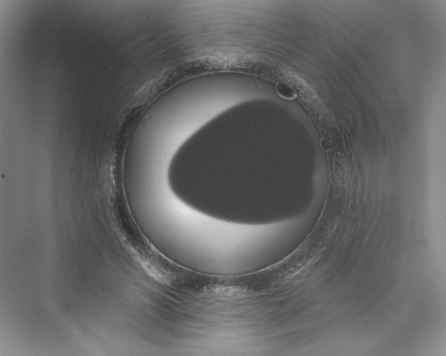 X0000073400590200608111301