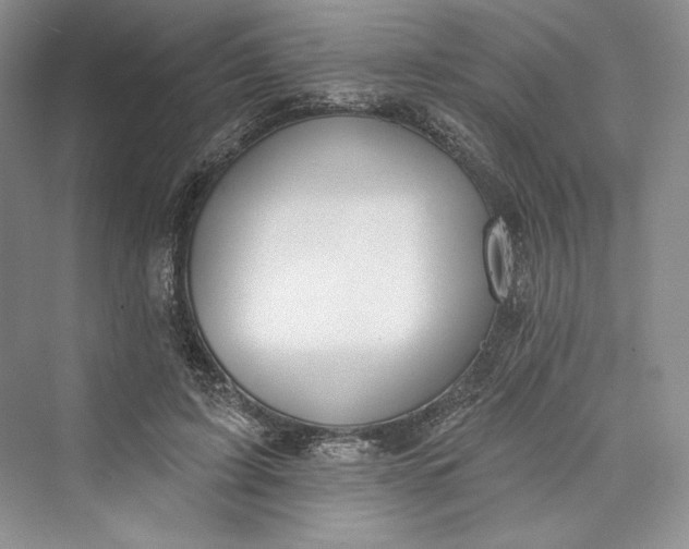 X0000073400595200608111301