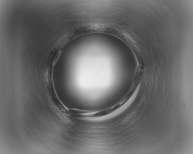 X0000073400597200608111301