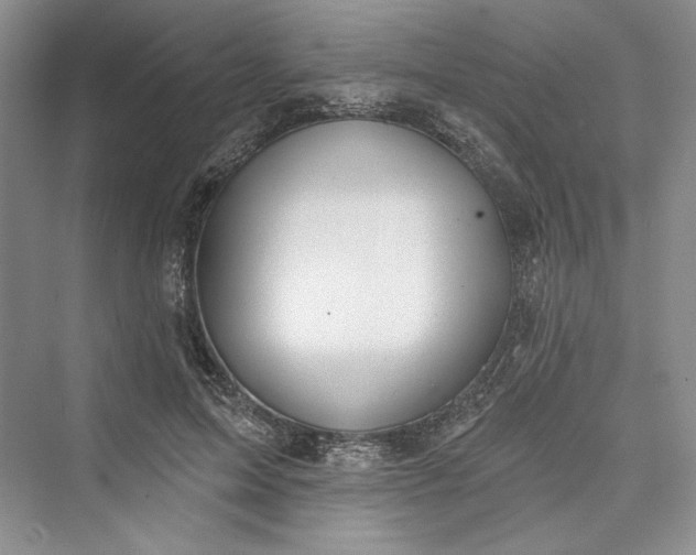 X0000073400599200608111301
