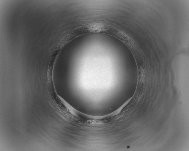 X0000073400601200608111301