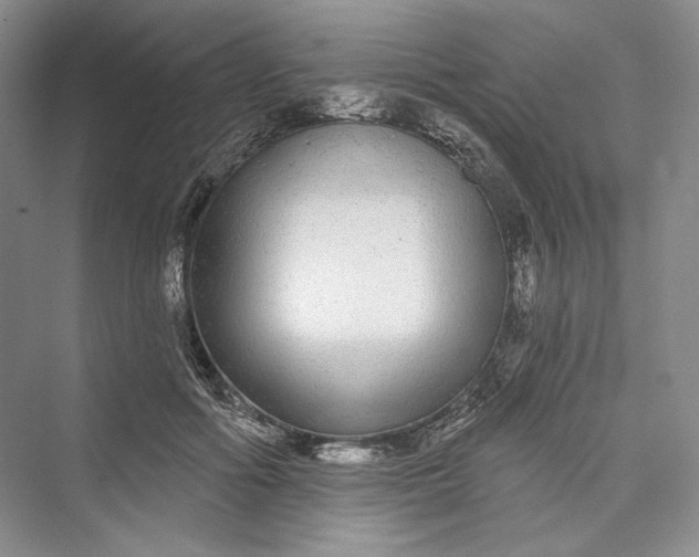 X0000073400602200608111301