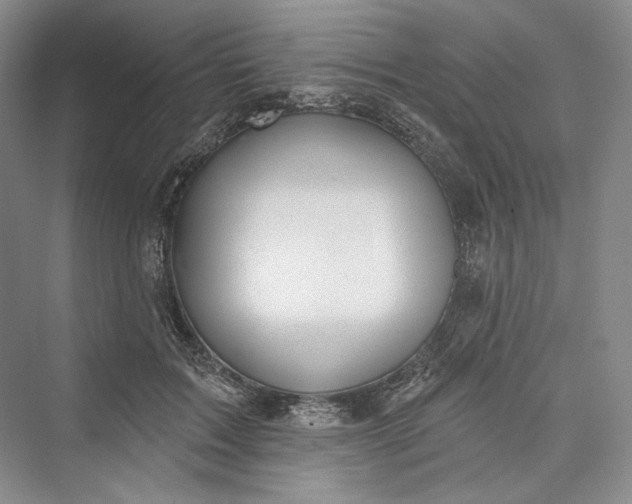 X0000073400603200608111301